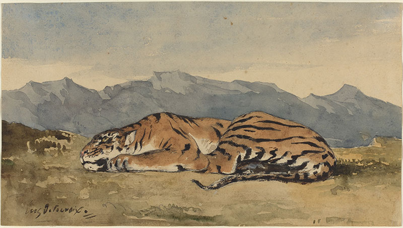 老虎 - Tiger
1830年，动物画，铅笔,水彩