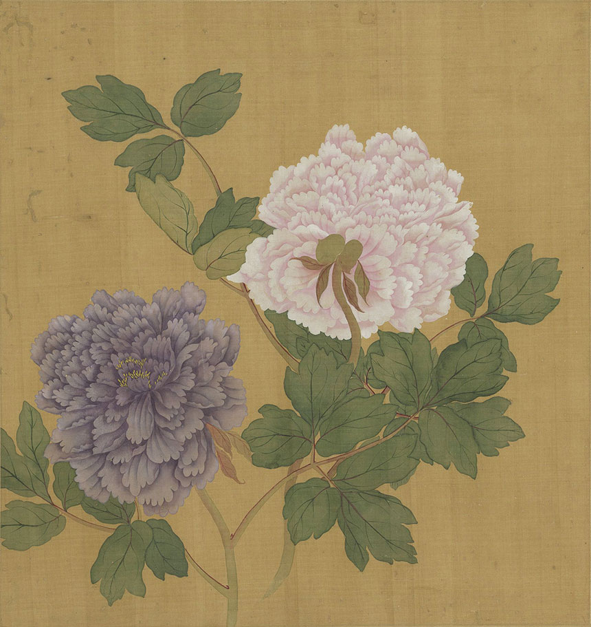 活色生香满庭芳 | 清代花鸟画大师恽寿平《牡丹册》八开  