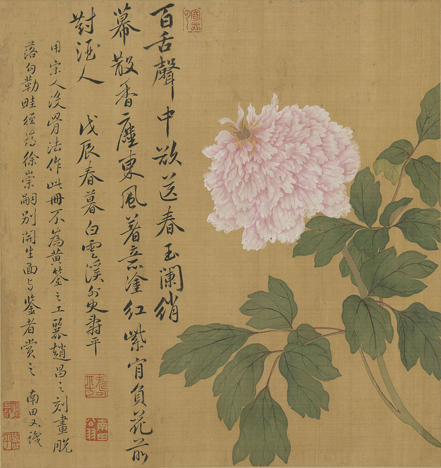 活色生香满庭芳 | 清代花鸟画大师恽寿平《牡丹册》八开  