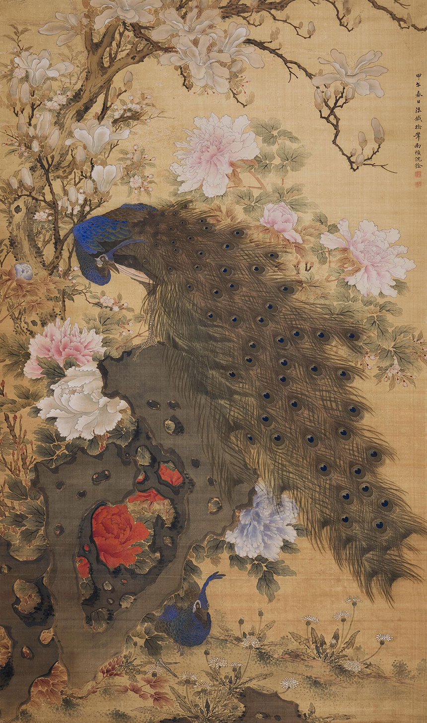 清·沈铨-孔雀玉兰牡丹图

  绢本立轴设色 145×84cm 私人藏