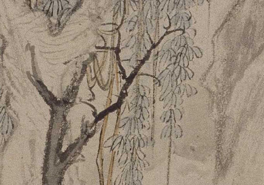 [清] 恽寿平《古木垂萝图》

纸本 立轴 浅设色 104.9x43 厘米

故宫博物院藏