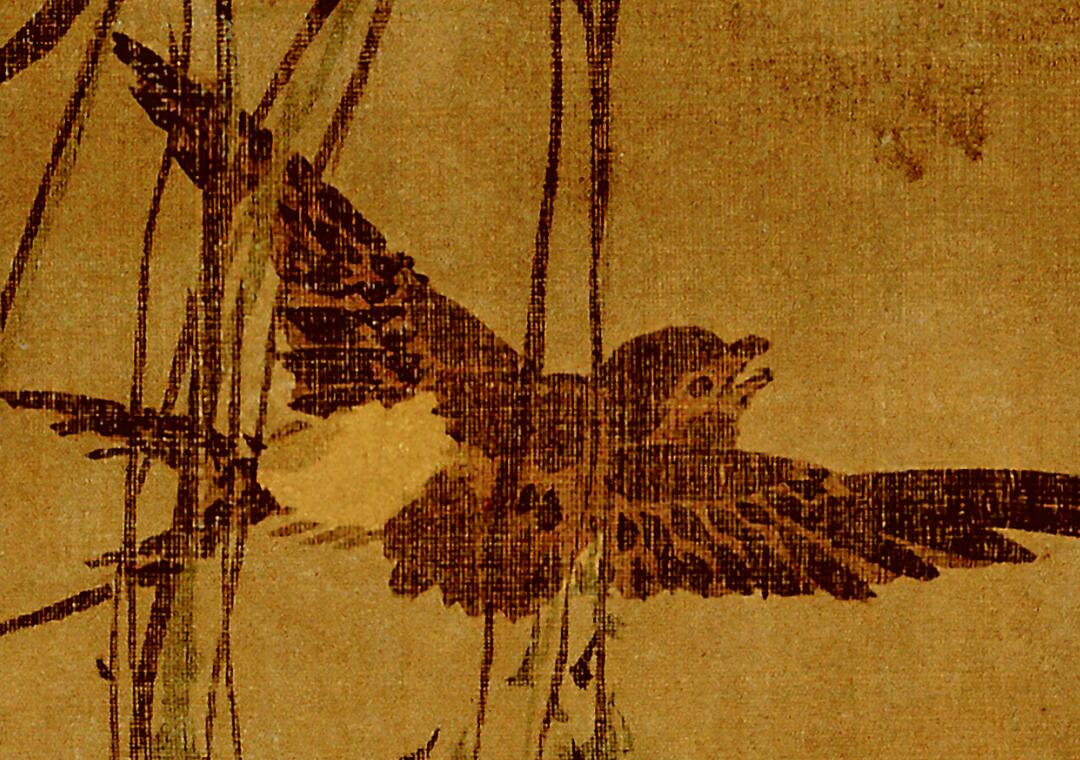 [明] 汪肇《柳禽白鹇图》

绢本 立轴 设色 190x103 厘米

故宫博物院藏